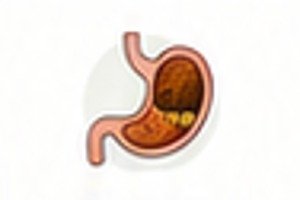 Digestion
