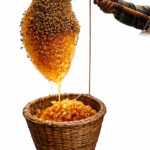 야생꿀<br>Natural Honey