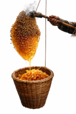 Himalayan Cliff Honey -Mad Honey