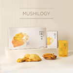 정관장 상황버섯 달임액 / JungKwanJang Naturally Brewed Meshima Mushroom Extract