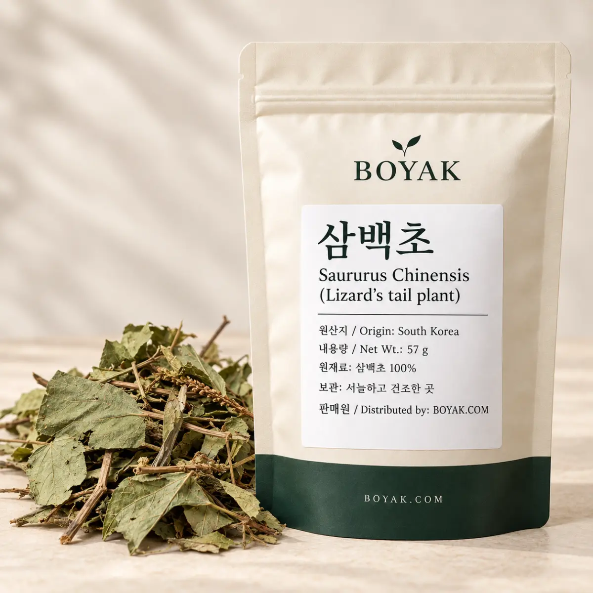삼백초