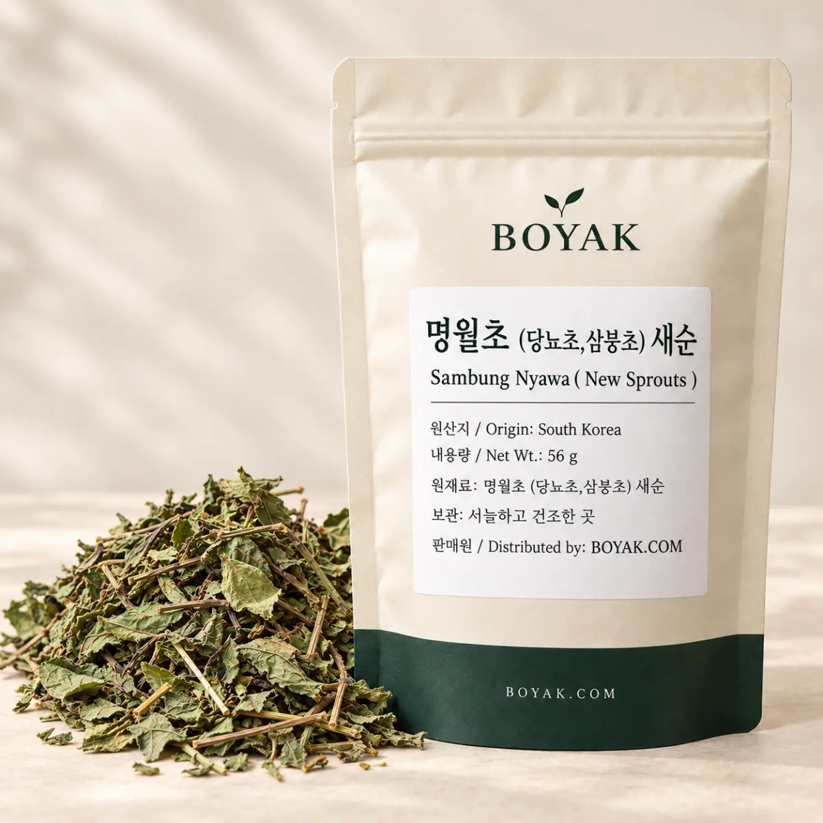 平卧菊三七嫩芽（Gynura procumbens）