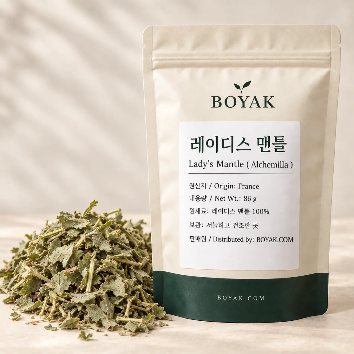 레이디스 맨틀