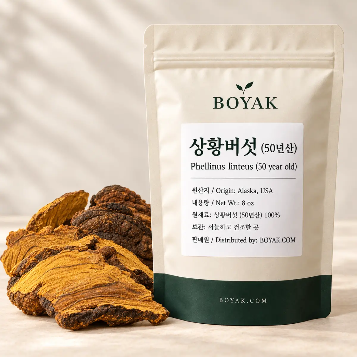 상황버섯 (50년산)