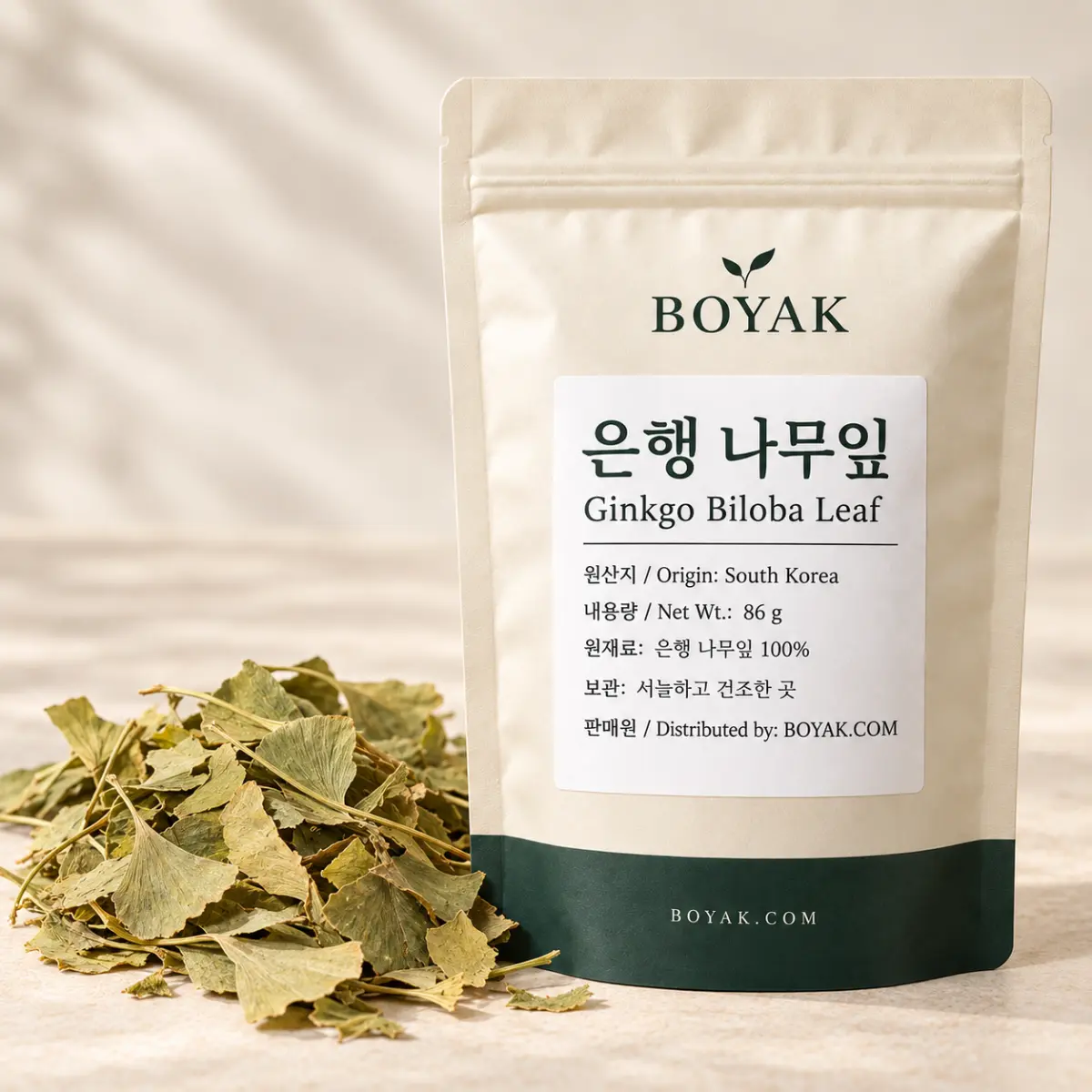 은행 나무잎