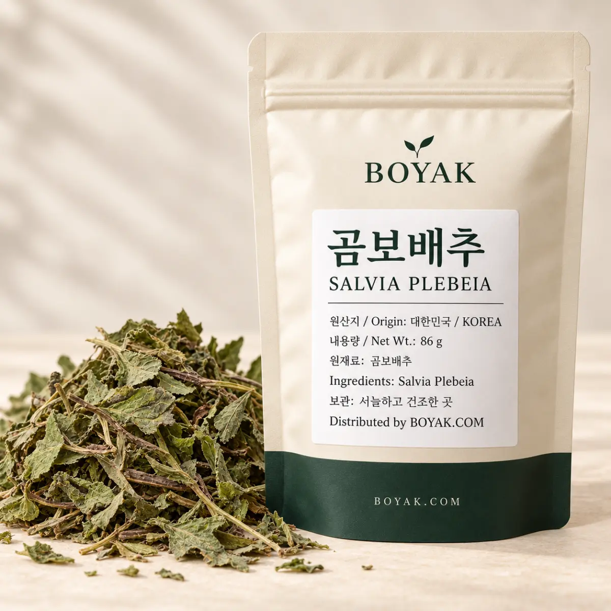 Salvia Plebeia