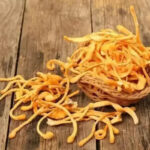 cordyceps raw ingredient reference photograph