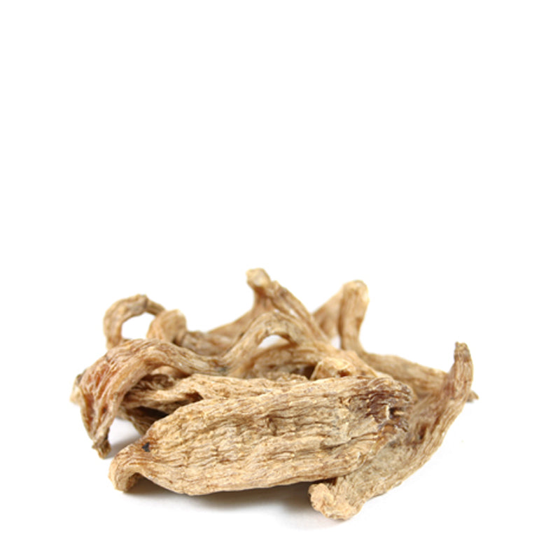 Gastrodia